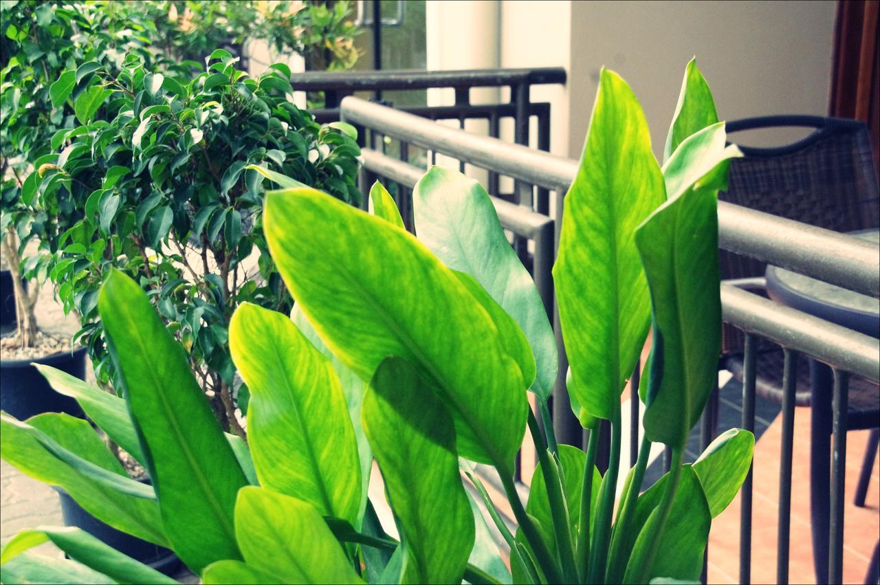 Citi Serviced Apartments & Motel - Lagatoi Place 포트모르즈비 외부 사진